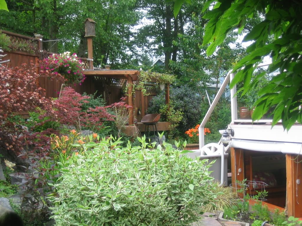 Perg to BBQ photo IMG_4246.jpg